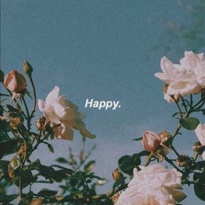 Meet your Posher, Bianca